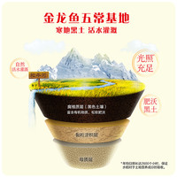 金龙鱼五常大米10kg黑龙江生态五常东北大米20斤粳米粥米