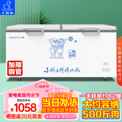 小鸭 卧式冰柜商用大容量冷藏冷冻柜家用展示柜雪糕柜 铜管BC/BD-550MJ