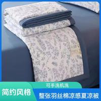 慕姗A类夏凉被空调被双人薄款2024单人凉被【可水洗可机洗】 青花瓷1.5*2.00