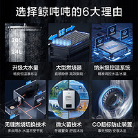 Rinnai 林内 20升燃气热水器智慧恒温 精准控温热水器RUS-20GD31