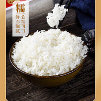 南凤鱼 猫牙米5kg长粒大米10斤籼米年货礼品新米