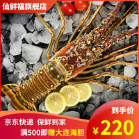 仙鲜福 鲜活冷冻 大龙虾