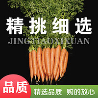 88VIP：others 其他 鲁韵忆乡新鲜胡萝卜2.5kg蔬菜脆甜爽口