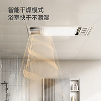 巴洛斯顿浴霸灯风暖集成吊顶排气扇照明一体浴室卫生间取暖风机器