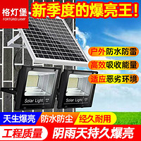 格灯堡 led太阳能户外灯太阳能照明灯一拖二户外庭院灯进口投光灯