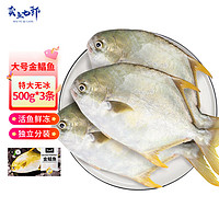 卖鱼七郎 特大国产 冷冻金鲳鱼 1500g/3条装 海鱼 生鲜 鱼类 海鲜水产