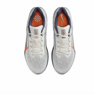 NIKE 耐克 Winflo 11 男子公路跑鞋 FJ9509-103 闪电蓝/银灰 42.5