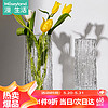 Mosey Land 漫生活 插花瓶玻璃透明24cm百搭冰川纹水养花瓶轻奢富贵水培植物桌面摆件