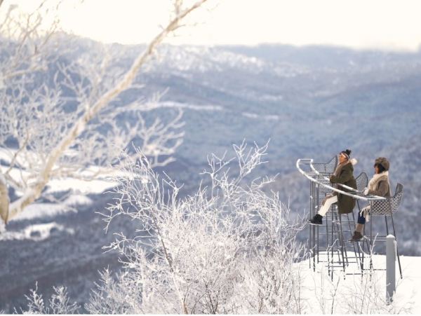北海道雪货早鸟来了越早囤越划算日本北海道星野tomamu度假村塔娃大