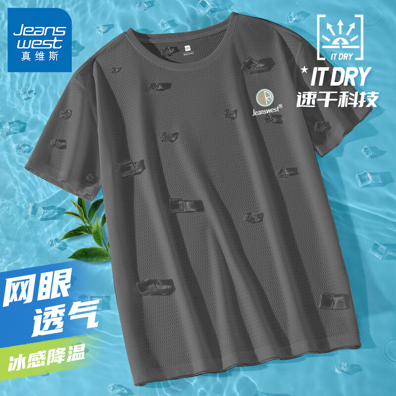 灰#ZS绿圆