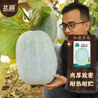 北蔬冬瓜种子特大粉皮冬瓜庭院种植蔬菜种籽 北蔬粉皮冬瓜种子50粒