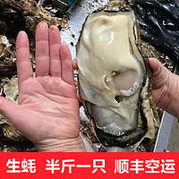 超朴生鲜【活鲜】生蚝鲜活 特大生蚝10斤新鲜海鲜水产海蛎牡蛎箱装 主推半斤1只5XL(250g及以上) 5斤实惠装【双人套餐】