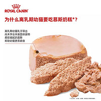 ROYAL CANIN 皇家 幼貓奶糕罐頭主食貓罐頭營養增肥發腮慕斯濕糧進口24罐整箱