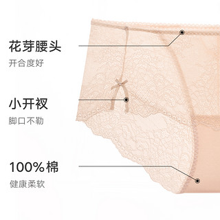 88VIP：ManiForm 曼妮芬 3条175元|曼妮芬性感蕾丝短裤中腰女士纯棉底裆内裤本命年红底裤