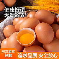 華北強 华北强新鲜鸡蛋农家散养山林自养鸡蛋10枚装单枚40-50g