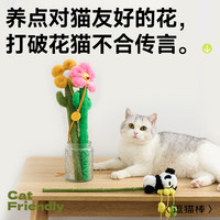 【天元宠物_逗猫棒】小熊猫耐咬逗猫薄荷自嗨解闷幼猫咪毛绒玩具