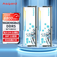 阿斯加特（Asgard）96GB(48GBx2)套装 DDR5 6800 台式机内存 RGB灯条-吹雪联名款