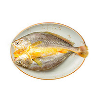 31日20點：黃小漁 醇香黃魚鲞250g*6條（凈重1.5kg）大黃花魚生鮮水產魚類源頭直發