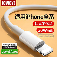 JOWOYE 苹果充电线20W充电器线Ipad平板PD快充iPhone14ProMax13/12手机数据线CarPlay连接Type-c车载互联