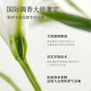 半亩花田（Little Dream Garden） 迪丽热巴同款精油香氛护手霜滋润保湿补水防干裂便携装女 【新升级】三效润护