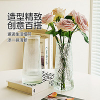 玻璃花瓶透明植物插水培容器装饰客厅摆件 锥形花瓶2个装（图案各一）