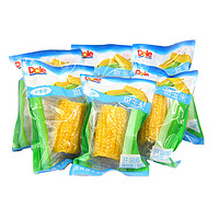 Dole 都樂 甜玉米棒 即食非轉基因 8根裝玉米段 0.8kg 單根100g