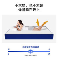 斯维兰 高回弹海绵 床垫+独立弹簧