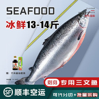 海泽鲜 三文鱼整条刺身11-14斤/条 分切 即食 整条13-14斤