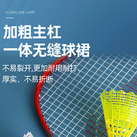 LI-NING 李宁 尼龙羽毛球正品防风塑料耐打室内外运动装备比赛专业训练手胶