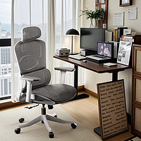 HBADA 黑白调 P2 Pro人体工学椅人工力学座椅电脑椅办公椅网椅老板椅电竞椅子