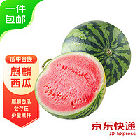QUXIANYU 趣鲜语 麒麟西瓜 1粒装 单果6-8斤甜瓜 时令水果新鲜西瓜源头直发