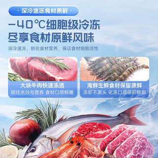澳柯玛（AUCMA）200升冰柜零下40度超低温家用商用冷柜 电子温控合金内胆一级能效 BC/BD-200DSNE