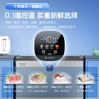 澳柯玛（AUCMA）200升冰柜零下40度超低温家用商用冷柜 电子温控合金内胆一级能效 BC/BD-200DSNE