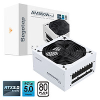 鑫谷（segotep） 电源650W台式机 ATX3.0电源全模组电脑组件主机机箱/白牌认证 AM850W PRO 白牌模组冰山版