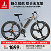 PHOENIX 凤凰 新国标电动自行车锂电池助力车山地自行车 699一体轮21速灰色-电动续航40km