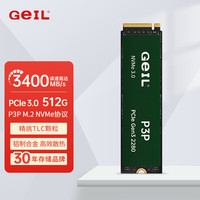 GeIL/金邦 高速 固态硬盘 1TB