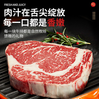 阿根廷谷饲原切眼肉牛排 200g*8片