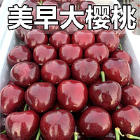 巧鲜惠 国产车厘子 2.5kg 单果28-30mm 山东美早大樱桃