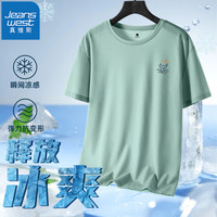 真维斯短袖t恤男2024夏季新款男士冰丝网眼透气圆领宽松凉感半袖上衣GW