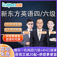 Hujiang Online Class 滬江網校 新東方英語四級六級網課王江濤零基礎4級6級備考資料視頻網絡課程