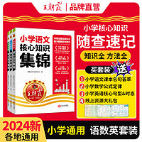 2024王朝霞小学核心知识集锦语文数学英语基础知识大盘点 语文+数学+英语-3本（送赠品挂图）