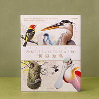 20点开始：《何以为鸟：西布利的鸟类世界》