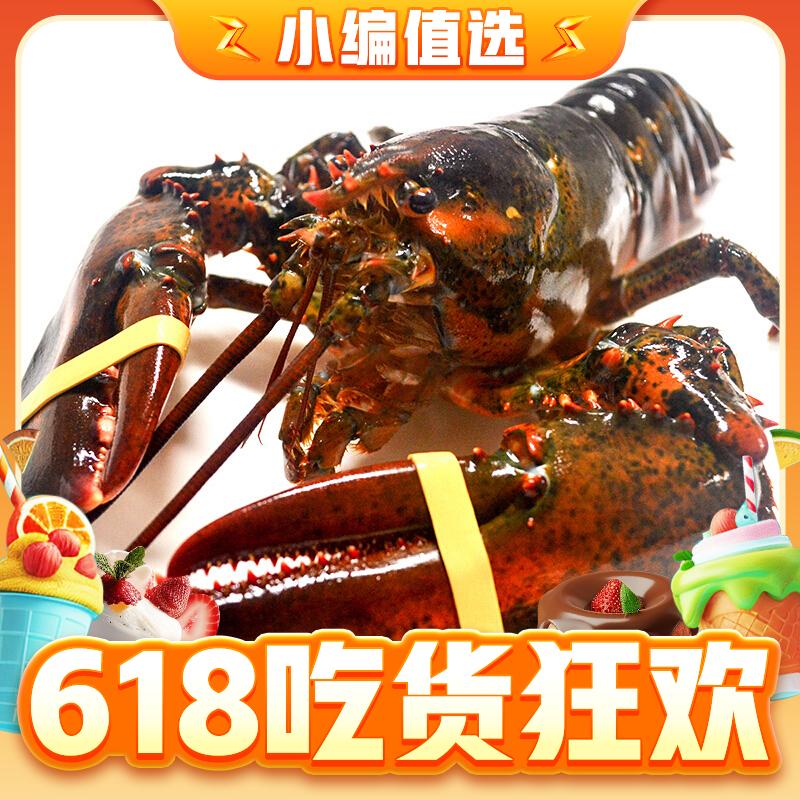 波士顿大龙虾 450-500g*2只（海鲜大餐等你来选）