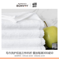 W HOTELS W酒店浴巾毛巾组合纯棉 五星级酒店加厚亲肤吸水 方巾x4 (33x33 cm/70g)