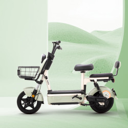 15日20点百人团aima爱玛哆乐豪华版新国标电动自行车