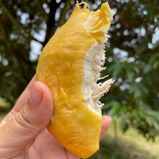 君闵泰国猫山王榴莲3-4斤榴莲整个当季水果（分开地址不支持发） 精美猫山王榴莲3-4斤装