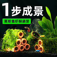 88VIP：yee 意牌 躲避屋魚缸造景莫斯水草植物裝飾擺件陶罐洞小型魚繁殖罐蝦屋