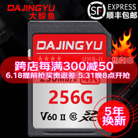 DAJINGYU 高速 SD卡  256GB