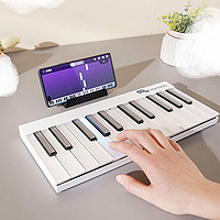 智能电子钢琴midi键盘 彩虹24键 典雅白