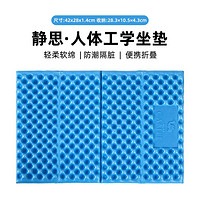 CAMEL 骆驼 蛋巢防潮垫户外露营蛋槽垫帐篷睡垫折叠坐垫地垫防潮垫